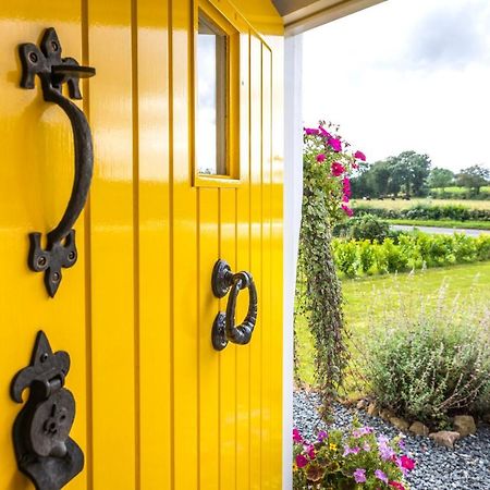 Katie'S Cottage Bellaghy Esterno foto